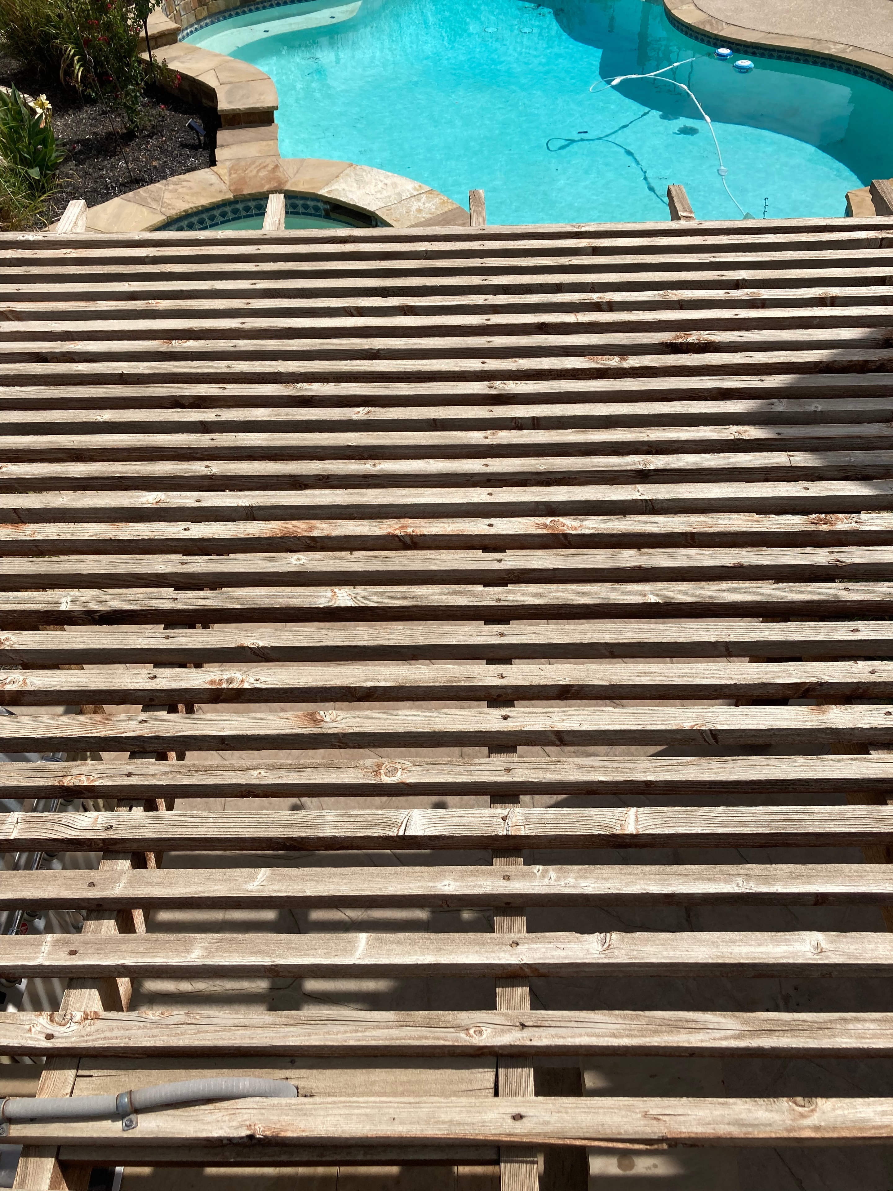 Fence & Pool Area — Plano